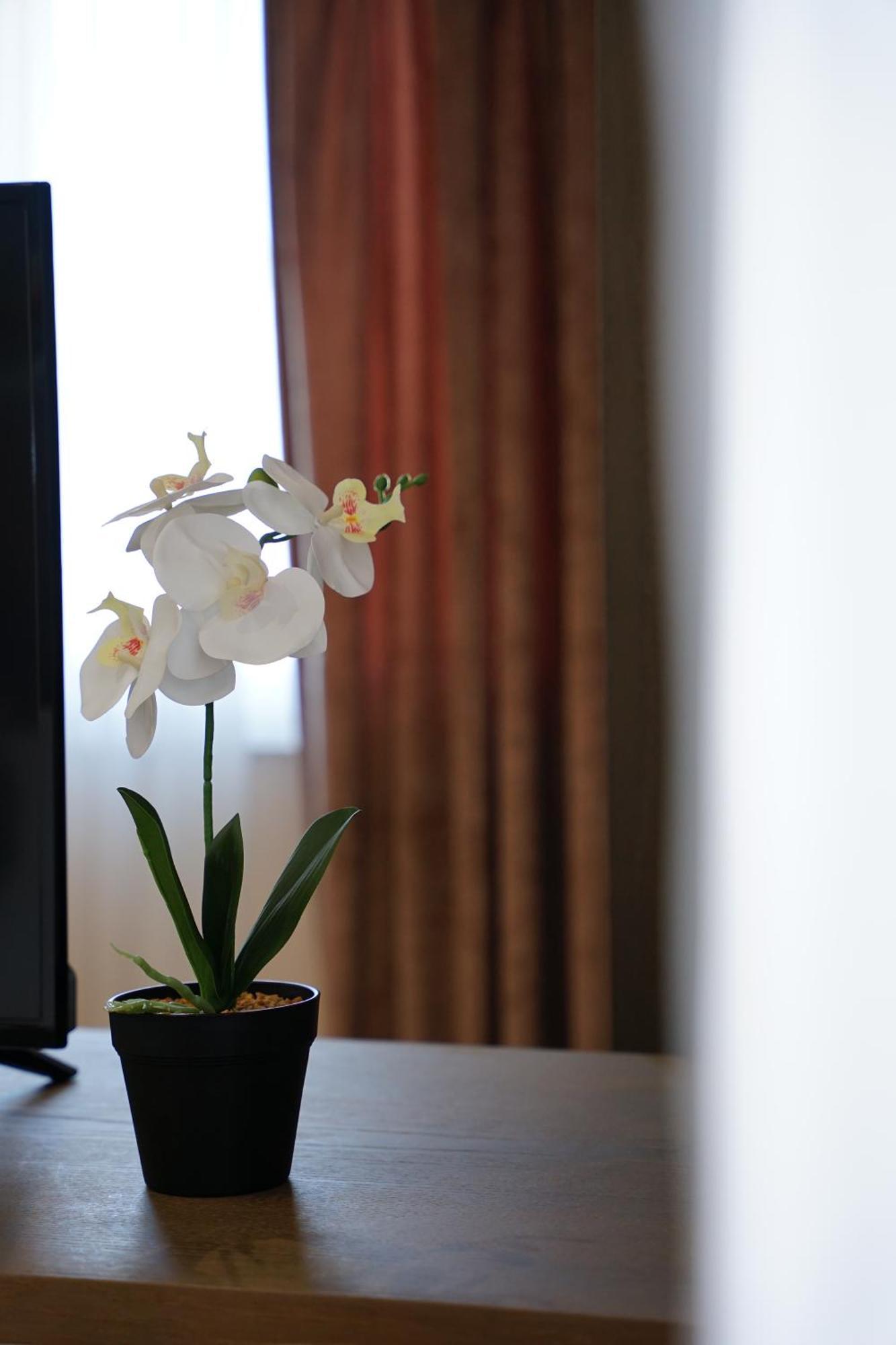 Doanesia Premium Hotel & Spa Tiranë Eksteriør bilde